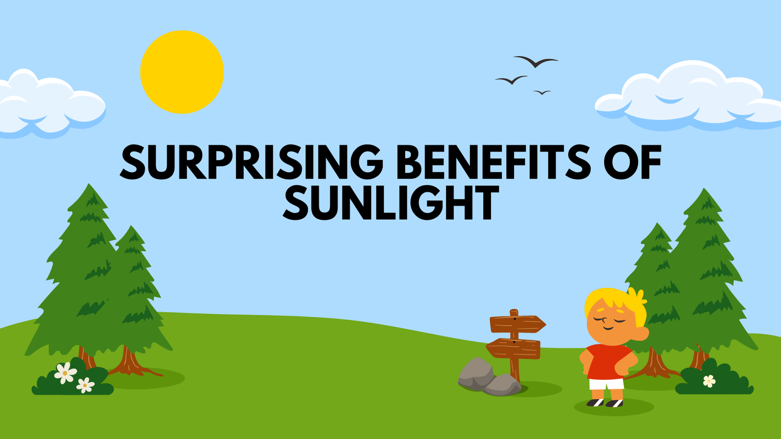 Surprising Benefits of Sunlight